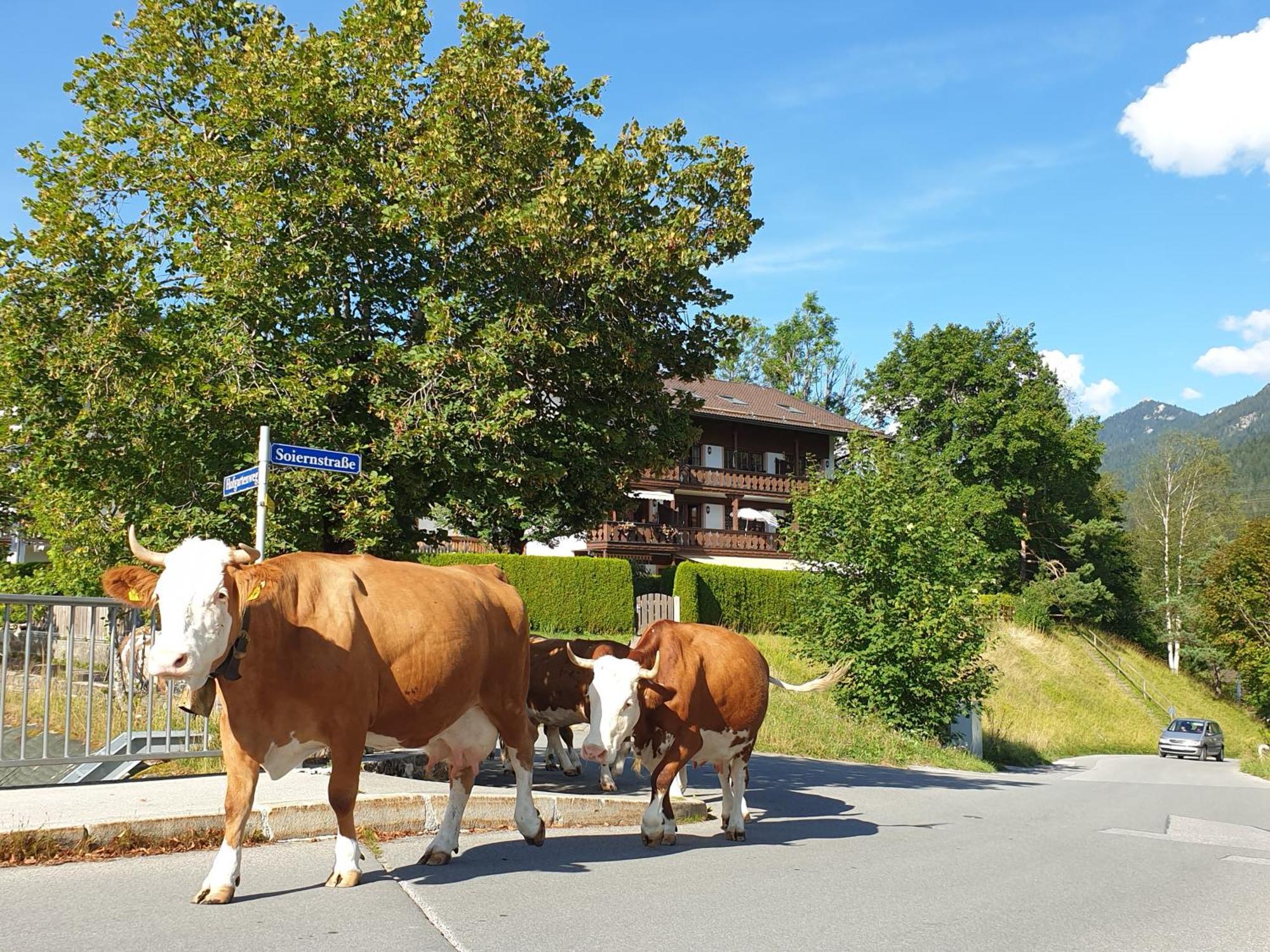 Haus Abendsonne Familie Druxes Appartement Krün Buitenkant foto